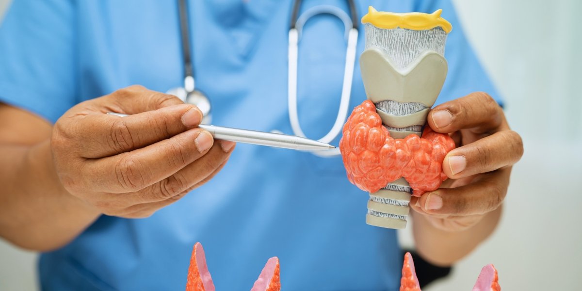 Compreendendo o Hipertireoidismo: Sintomas e Tratamentos